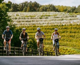 Fall Activity