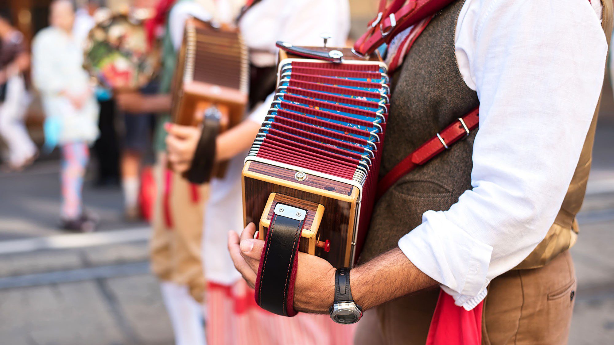 Accordian player at Cedar Polka Fest